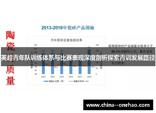英超青年队训练体系与比赛表现深度剖析探索青训发展路径
