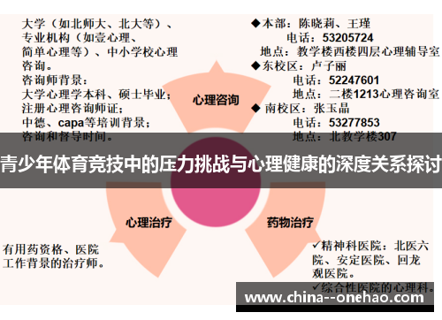 青少年体育竞技中的压力挑战与心理健康的深度关系探讨