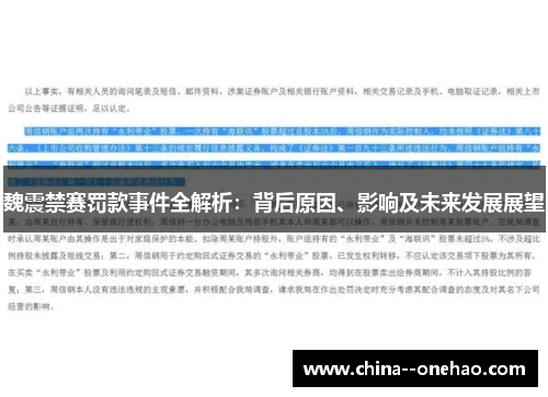 魏震禁赛罚款事件全解析：背后原因、影响及未来发展展望