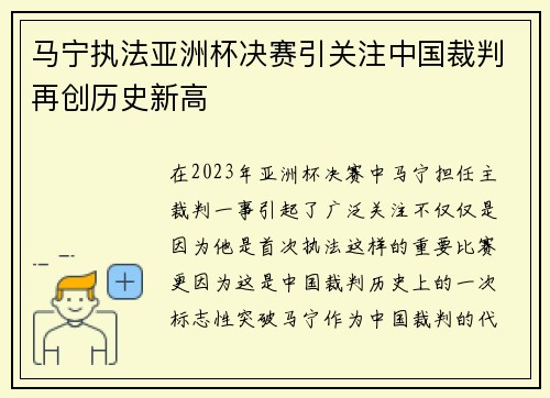 马宁执法亚洲杯决赛引关注中国裁判再创历史新高